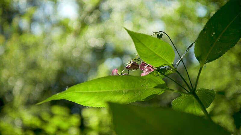 UN's SDGs and Sustainable Communities